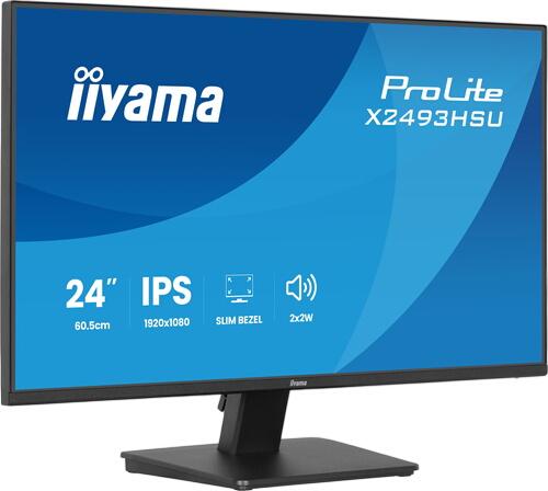 iiyama ProLite X2493HSU-B1