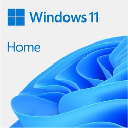 Microsoft Windows 11 Home Englisch