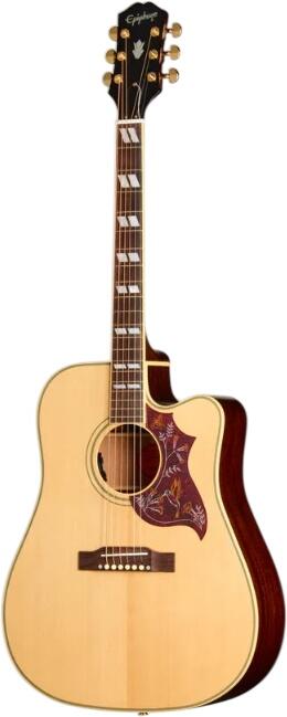 Epiphone Hummingbird Standard EC