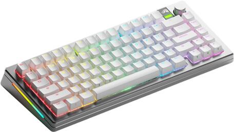 Glorious Gaming GMMK 3 Pro Wireless 75% Prebuilt silber US (GLO-KB-GMMK3-PRO-75-PB-FOX-WL-SIL-US)