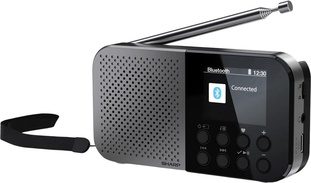 Sharp DR-P520