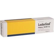 Abanta Pharma LEDERLIND HEILPASTE, 100 g (N3)