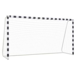 vidaXL Fußballtor 300 x 160 x 90 cm (91954)