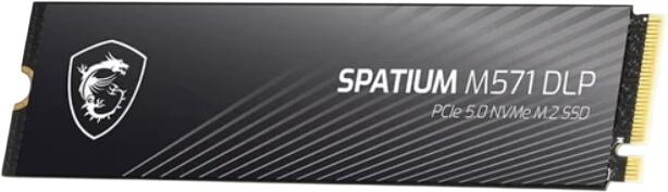 MSI Spatium M571 DLP 2TB (S78-440Q1K0-P83)