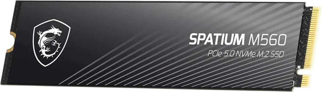MSI Spatium M560 1TB (S78-440L0F0-P83)