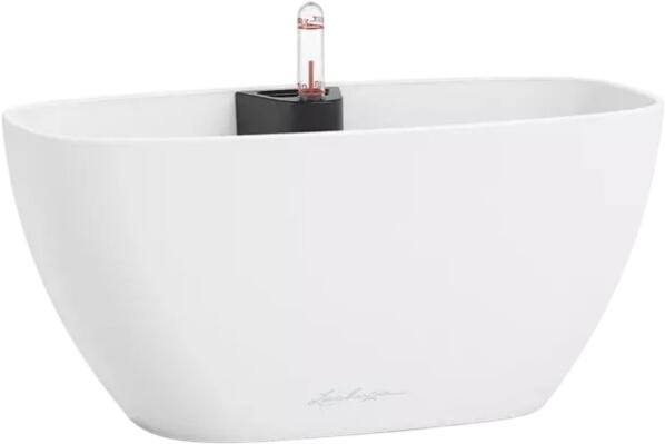 Lechuza Navio Color 10