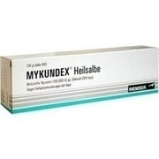 Esteve Pharmaceuticals MYKUNDEX HEILSALBE, 100 g (N3)