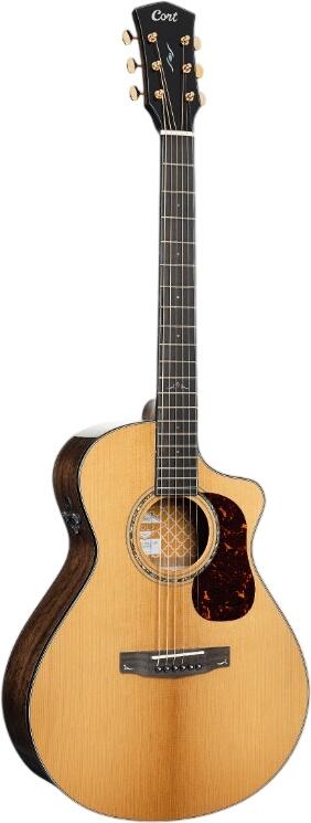 Cort Gold MC6