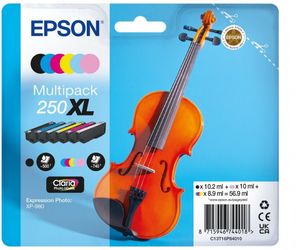 Epson 250XL Multipack (C13T16P84010)