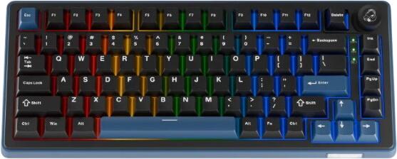 Ducky OK-M Black and Blue 75% US (DKOKM2583-KYUSPDCOCH1)