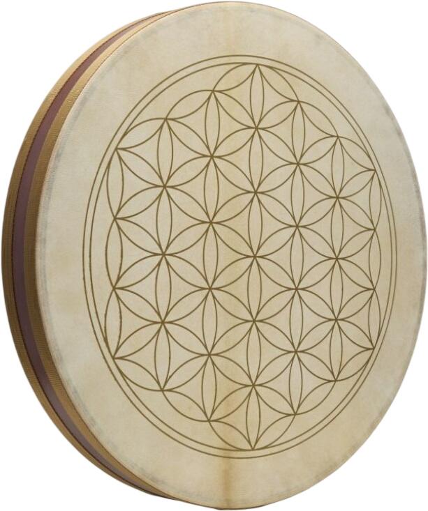 Meinl Sonic Energy WD20FOL
