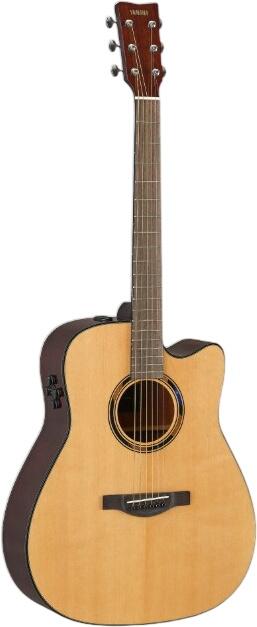 Yamaha TAG1 C