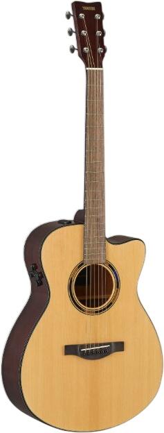 Yamaha TAS1 C