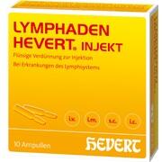 Hevert Lymphaden Hevert Injekt Ampullen 10 Stück