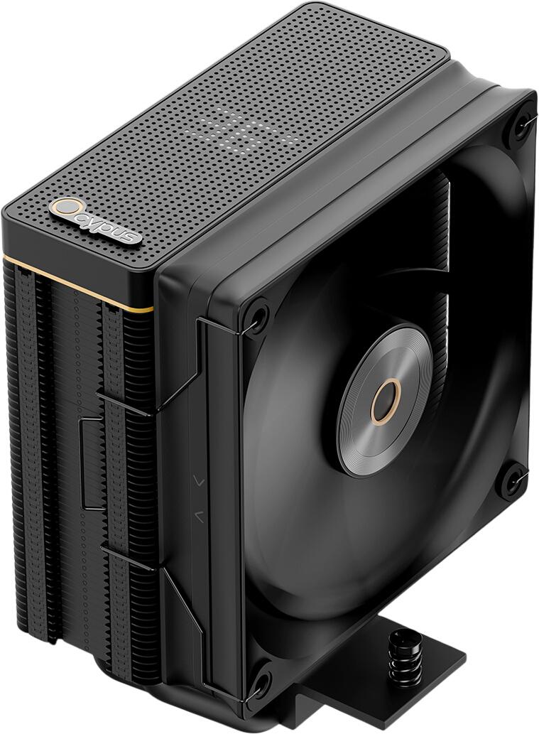 Ocypus Iota A40