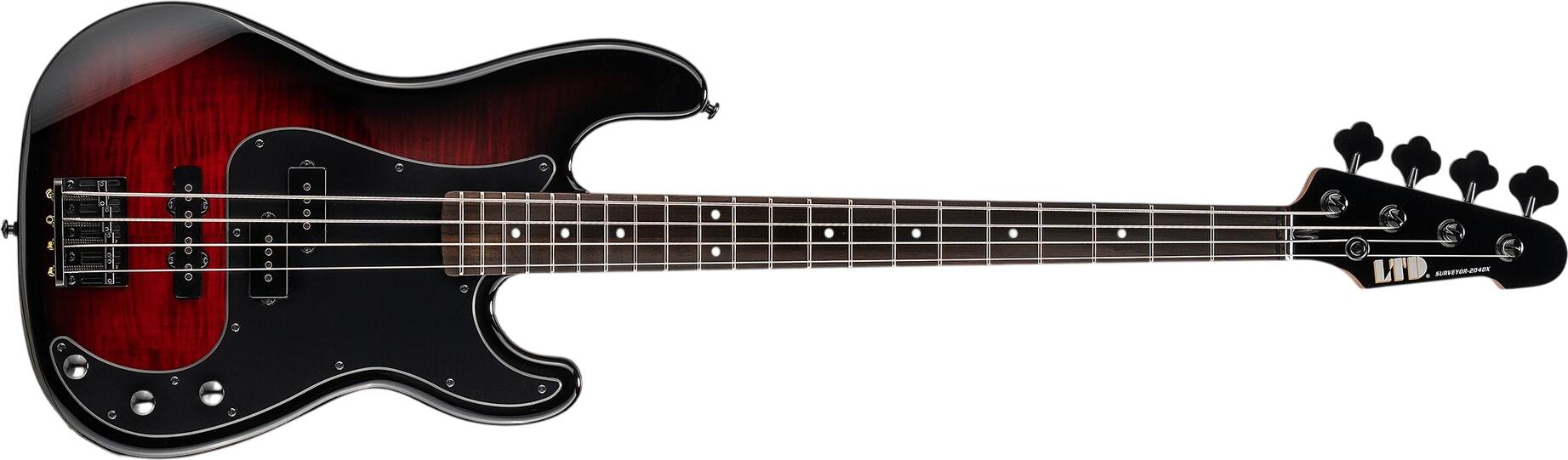 ESP LTD Surveyor-204DX