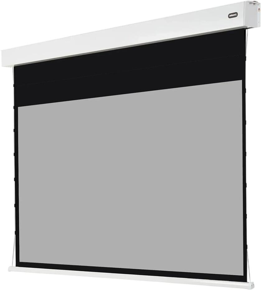 celexon Batterie Leinwand Motor Professional Plus Tension Pearlstone 120"