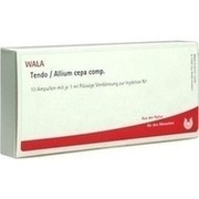 Wala TENDO/ ALLIUM CEPA COMP. AMP., 10 x 1 ml
