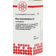 DHU-Arzneimittel RHUS TOXICODENDRON D 6 GLOBULI, 10 g