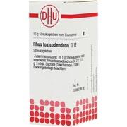 DHU-Arzneimittel RHUS TOXICODENDRON D 12 GLOBULI, 10 g DHU-Arzneimittel RHUS TOXICODENDRON D 12 GLOBULI, 10 g