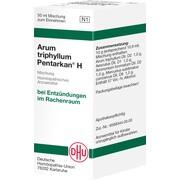 DHU-Arzneimittel ARUM TRIPHYLLUM PENTARKAN H DILUTION, 50 ml