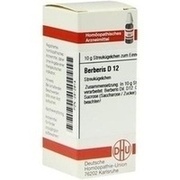 DHU-Arzneimittel BERBERIS D 12 GLOBULI, 10 g
