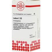 DHU-Arzneimittel LEDUM C 30 GLOBULI, 10 g