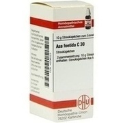 DHU-Arzneimittel ASA FOETIDA C 30 GLOBULI, 10 g