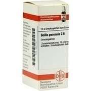 DHU-Arzneimittel BELLIS PERENNIS C 6 GLOBULI, 10 g