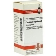 DHU-Arzneimittel CALADIUM SEGUINUM C 30 GLOBULI, 10 g