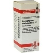 DHU-Arzneimittel CAULOPHYLLUM THALICTROIDES D 12 GLOBULI, 10 g
