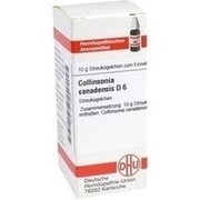 DHU-Arzneimittel COLLINSONIA CANADENSIS D 6 GLOBULI, 10 g