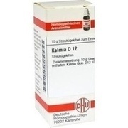 DHU-Arzneimittel KALMIA D 12 GLOBULI, 10 g
