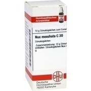 DHU-Arzneimittel NUX MOSCHATA C 30 GLOBULI, 10 g