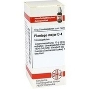 DHU-Arzneimittel PLANTAGO MAJOR D 4 GLOBULI, 10 g