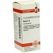DHU-Arzneimittel RUTA C 6 GLOBULI, 10 g