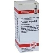 DHU-Arzneimittel PLANTAGO MAJOR D 6 GLOBULI, 10 g