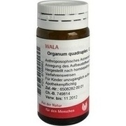 Wala ORGANUM QUADRUPLEX GLOBULI, 20 g