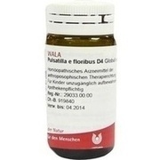 Wala PULSATILLA E FLORIBUS D 4 GLOBULI, 20 g