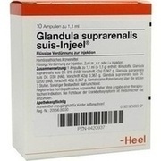 Biologische Heilmittel Heel GLANDULA SUPRAREN. SUIS INJEELE 1,1 ML, 10 St. Biologische Heilmittel Heel GLANDULA SUPRAREN. SUIS INJEELE 1,1 ML, 10 St.