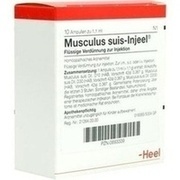 Biologische Heilmittel Heel MUSCULUS SUIS INJEELE, 10 St.