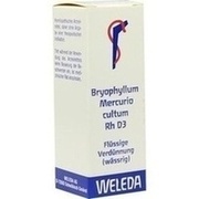 Weleda BRYOPHYLLUM MERCURIO CULTUM RH D3 DILUTION