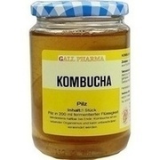 Hecht Pharma KOMBUCHA TEEPILZ, 1 St.