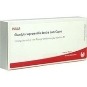 Wala GLANDULA SUP DEX CUM CUPRO AMP, 10 x 1 ml