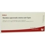 Wala GLANDULA SUP SIN CUM CUPRO AMP, 10 x 1 ml
