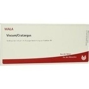 Wala VISCUM CRATAEGUS AMP., 10 x 1 ml
