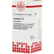 DHU-Arzneimittel LACHESIS D 12 GLOBULI, 10 g