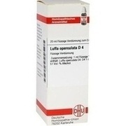 DHU-Arzneimittel LUFFA OPERCULATA D 4 DIL., 20 ml
