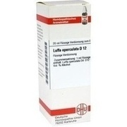 DHU-Arzneimittel LUFFA OPERCULATA D 12 DIL., 20 ml
