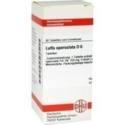 DHU-Arzneimittel LUFFA OPERCULATA D 6 TABLETTEN, 80 St.